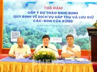 Vietnam completes legal framework for forest carbon market