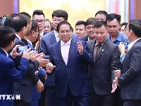Vietnam unveils private economic landscape model