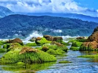 Da Nang photo collection to be exhibited in RoK