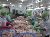 Turning seafood by-products into billion-dollar industry