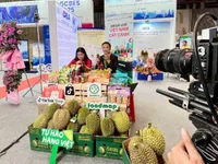 Cross-border e-commerce – A driver of national exports