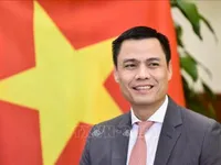 Hanoi Convention to be a milestone in Vietnam's multilateral diplomacy: Deputy FM