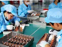 Vietnam’s FDI inflows remain strong amidst global stagnation: official