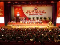 Gia Lai aims for rapid, sustainable development in new Party tenure