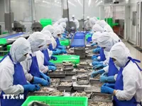 Vietnam’s seafood sector capitalises on FTAs