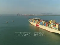 HCM City Department of Tourism proposes reception of int'l cruise ships at Cai Mep–Thi Vai