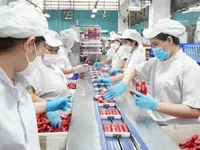 Vietnam on track to rank among world’s 30 largest economies