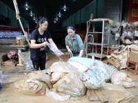 Additional 400 billion VND earmarked for flood-hit provinces’ recovery