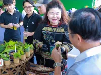 Autumn Fair 2025 showcases Vietnam’s growing green consumption trend