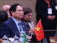 Vietnam continues to fully implement commitments under RCEP: PM