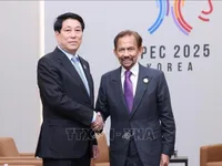Vietnamese, Bruneian leaders pledge to promote practical development of bilateral ties
