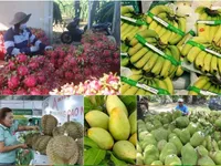 Vietnam’s fruit, vegetable exports exceed 7 billion USD in 10 months