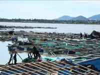 PM requires early resumption of essential service supply for typhoon victims