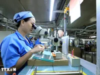 Investors eye Vietnam as next FDI hub, urge clearer policy enforcement