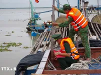 Dong Thap province tightens monitoring of vessels at sea to tackle IUU fishing