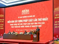 NA leader highlights legislature's strong performance in institutional reforms