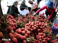 Bac Ninh boosts direct exports of key, advantageous products