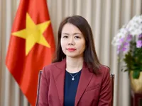 Vietnam works to shape new future, vision with Middle East-Africa region