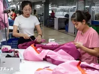 Vietnam, EFTA working on 18th FTA negotiation round in Da Nang