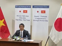 Vietnam-Japan Comprehensive Strategic Partnership witnesses extensive progress