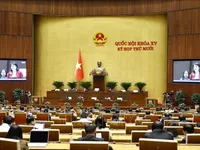 National Assembly deputies discuss adjustments to National Master Plan