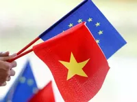 Deputy FM confident in future of Vietnam-EU relations