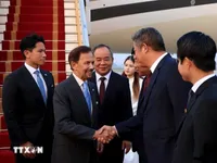 Sultan of Brunei arrives in Ha Noi, beginning state visit to Viet Nam