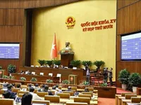 Lawmakers pass four laws on judicial affairs