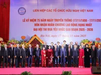 Viet Nam Union of Friendship Organisations receives first-class Labour Order