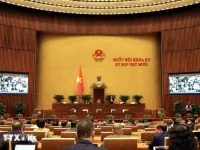 Lawmakers discuss personnel work, draft laws on population, disease prevention