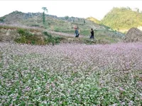 Vietnam named World’s Leading Heritage Destination 2025