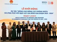 Project to strengthen Viet Nam's capacity to prevent domestic-violence launched