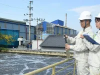 Drivers of growth from green transition