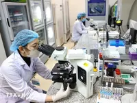 Vietnam sets roadmap for intellectual workforce to 2045