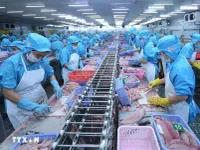 CPTPP drives Vietnam’s agro-fisheries exports