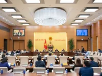 NA Standing Committee discusses electoral affairs