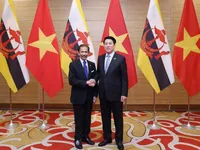 Vietnam, Brunei issue joint statement
