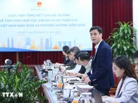 2025 – successful year for ASEAN: Deputy FM
