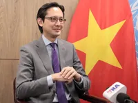Vietnam continues to affirm standing, distinct identity at UN: Ambassador
