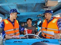 HCM City tackles fishing violations at roots