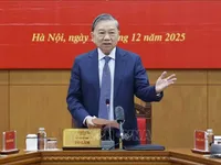Party leader chairs 29th meeting of central steering committee for corruption control