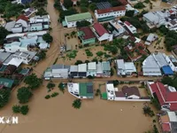 Japan, Brazil assist Vietnam in addressing storm and flood damage