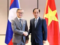 Vietnamese, Lao FMs co-chair 12th political consultation