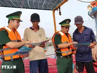 An Giang reviews fishing vessels to combat IUU fishing