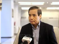 Viet Nam witnesses spectacular breakthrough amidst challenges: Professor