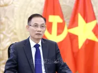Vietnamese, Lao foreign ministers hold online talks