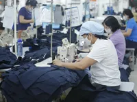 Programme aims to support 25,000 businesses, cooperatives in sustainable transition