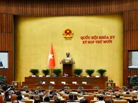 Lawmakers scrutinise foreign judges for IFC, back new energy framework