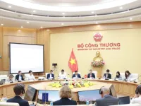Viet Nam, EU review progress on sustainable energy transition cooperation