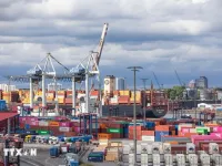 Viet Nam contributes to WTO's annual trade monitoring report